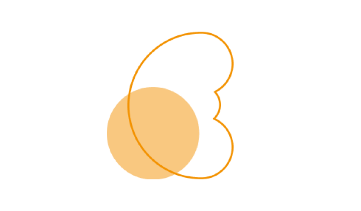 Illustration of a kidney