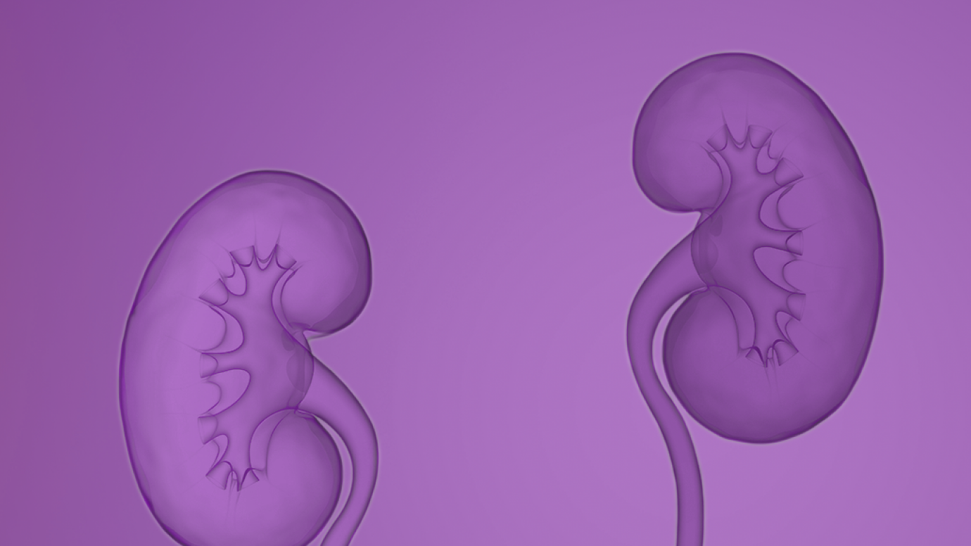 Causes of IgA Nephropathy